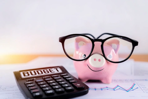 piggy bank for savings