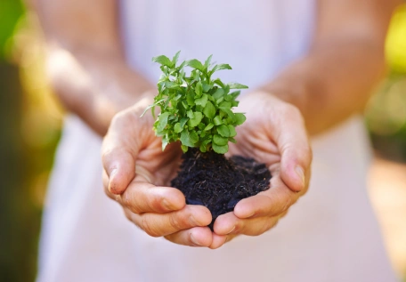 eco-friendly activity